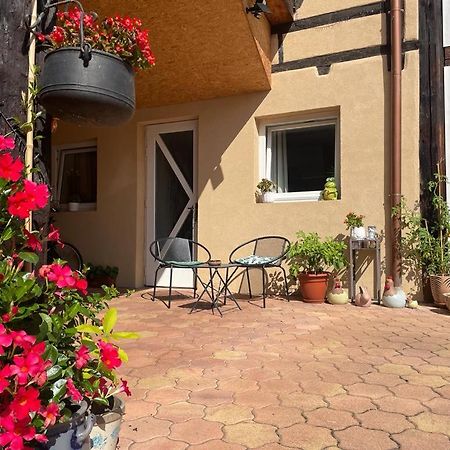 Zewwelatreppler - La Grange Aux Petits Oignons - Chambre Rainette セレスタ エクステリア 写真