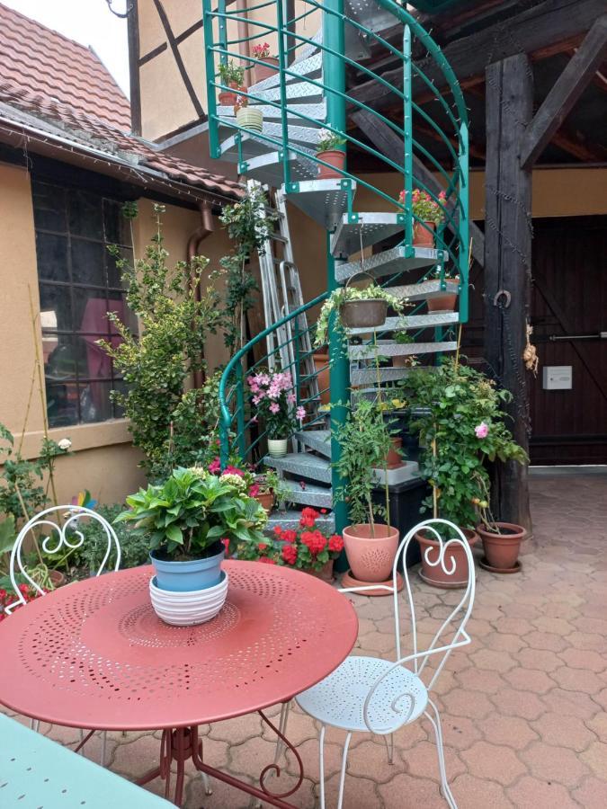 Zewwelatreppler - La Grange Aux Petits Oignons - Chambre Rainette セレスタ エクステリア 写真